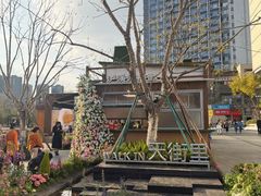 -首开·龙湖成都西宸天街