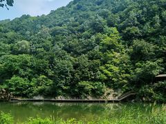 -白河湾生态旅游一条川
