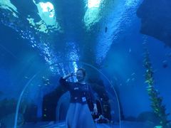 -波塞冬旅游度假区