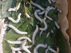 -手工艺活态馆
