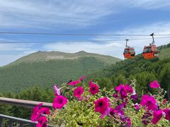 -TESLA 特斯拉(北京颐堤港体验店)