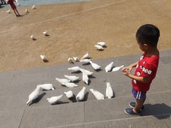 -烟台海昌鲸鲨海洋公园