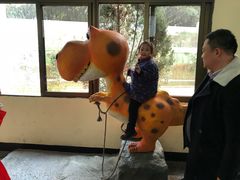 -自贡恐龙博物馆