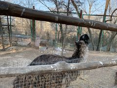 -青藏高原野生动物园