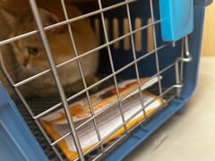 -瑞派康怡24h宠物医院·犬猫医疗中心·微创绝育(瑞景分院)