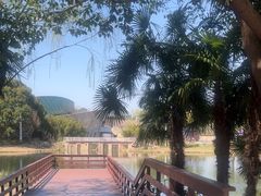 -新江湾城公园