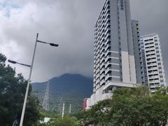 -梧桐山风景名胜区