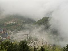 -紫鹊界梯田景区