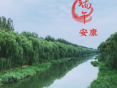 -东郊湿地公园