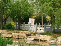 -武清南湖绿博园