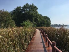 -东湖落雁景区