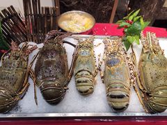 -海玥荟海鲜姿造自助餐厅(欧罗巴广场店)