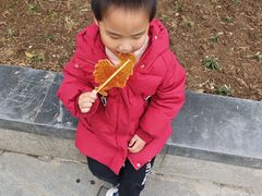 -无锡动物园·太湖欢乐园