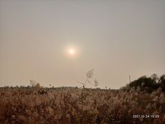 -西青郊野公园