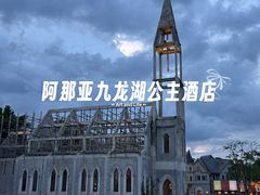 -中旅阿那亚九龙湖·公主酒店