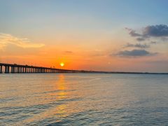 -宝安西湾红树林湿地公园