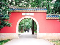 -灵谷景区