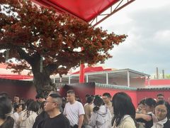 -杭州宋城