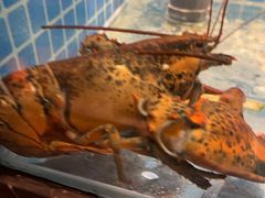 -和和小厨