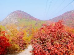 -香山公园