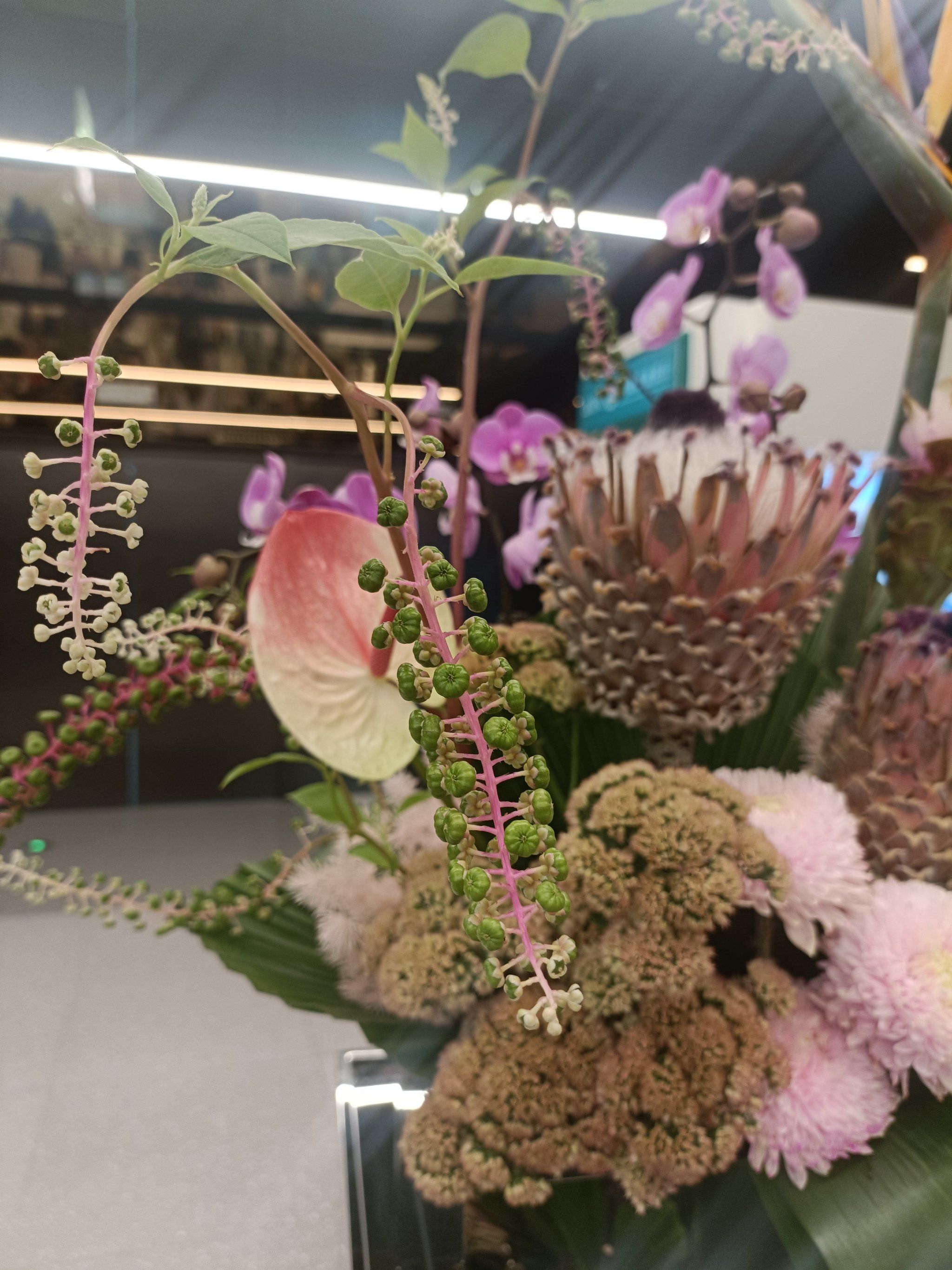 这个路边常见植物你们那边叫什么?
