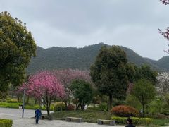 -贵阳市花溪国家城市湿地公园