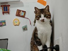 -联合动物医院(光谷诊疗中心)