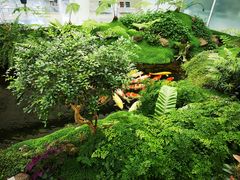 -罗红摄影艺术馆