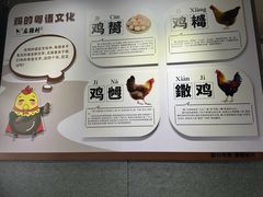 -飞来湖湿地公园