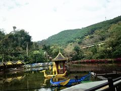 -西双版纳原始森林公园
