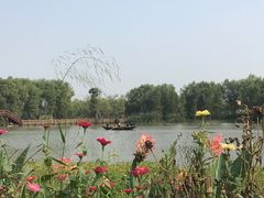 -长兴太湖图影湿地文化园