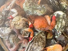 -四海蒸鲜蒸汽海鲜自助(北戴河店)
