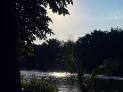 -海珠湖公园