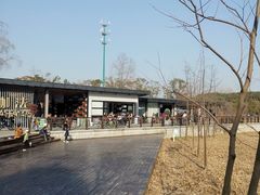 -昆山城市生态森林公园