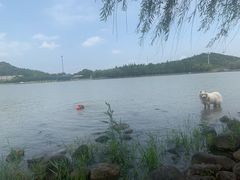 -上海月湖雕塑公园