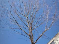 -海底捞火锅(邯郸新世纪中心店)