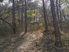 -沈阳辉山风景区