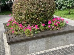 -群力丁香公园