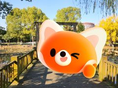 -张家港金凤凰度假村温泉