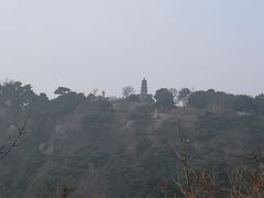 -鲁山国家森林公园