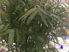 -三江源活鱼现烤(维多利摩尔城店)