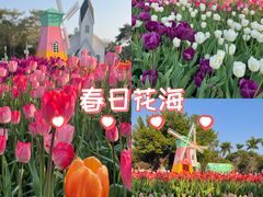 -厦门园林博览苑