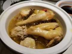 清蒸雪山草鸡-佬肥猫(国华广场店)