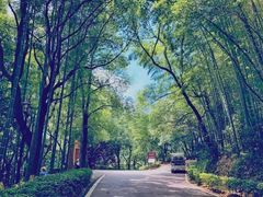 -石燕湖生态旅游景区