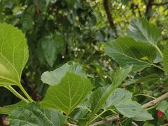 -丝绸小镇荻港古村