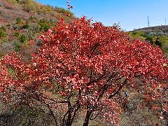 -鬼笑石后山停车场
