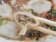 牛肉韭黄饺子-尤素福东举院饺子馆