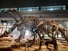 -自贡恐龙博物馆