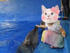 -华夏文旅海洋公园