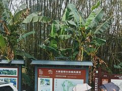 -明仕田园